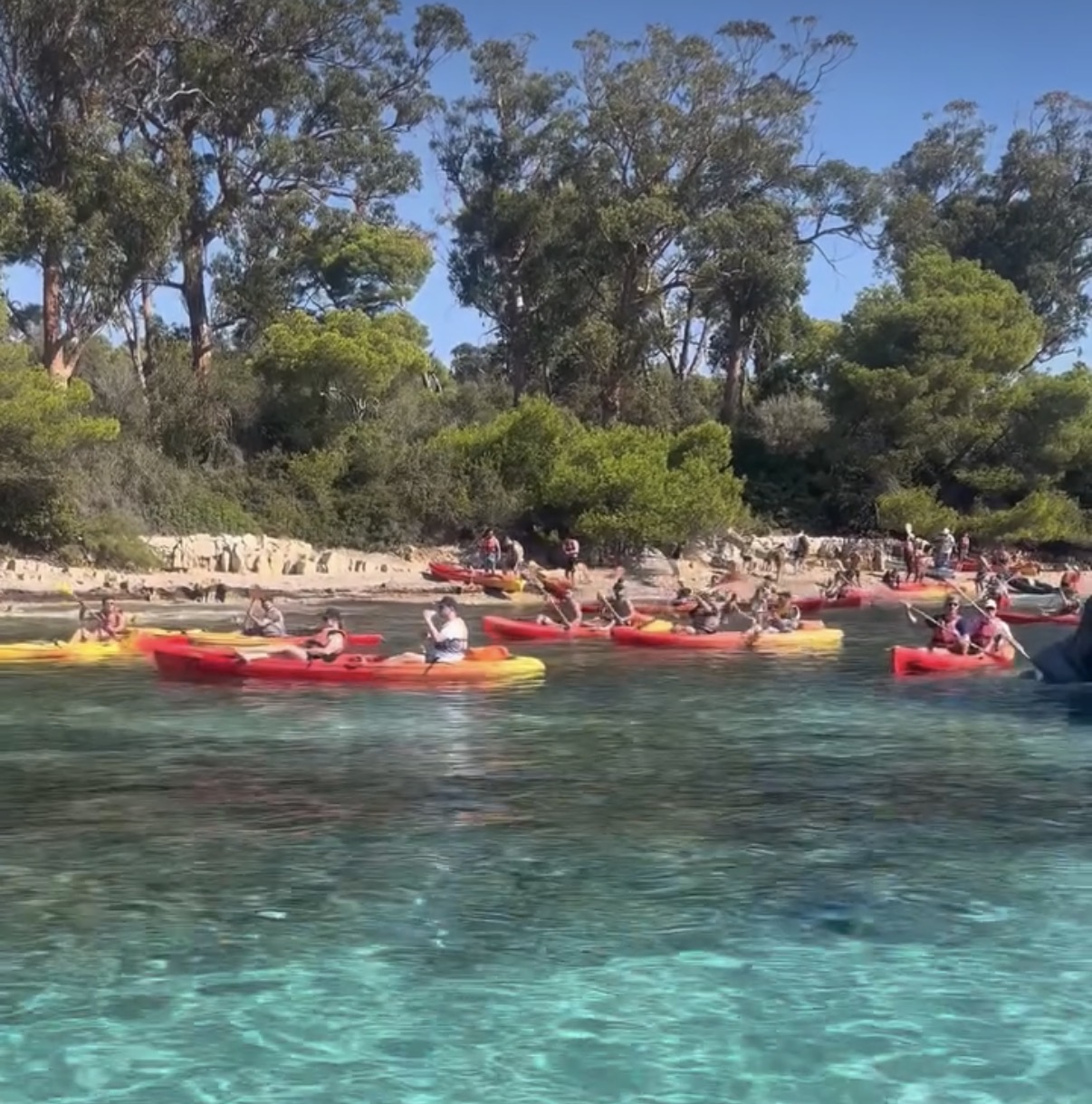 Un groupe en kayak près d’une crique boisée des îles