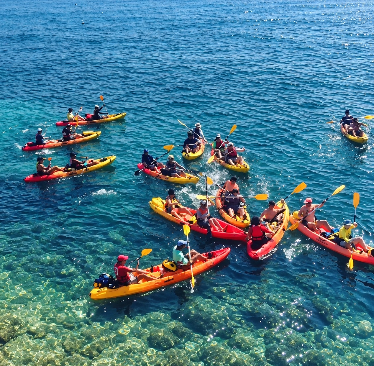 A group kayaking on turquoise water